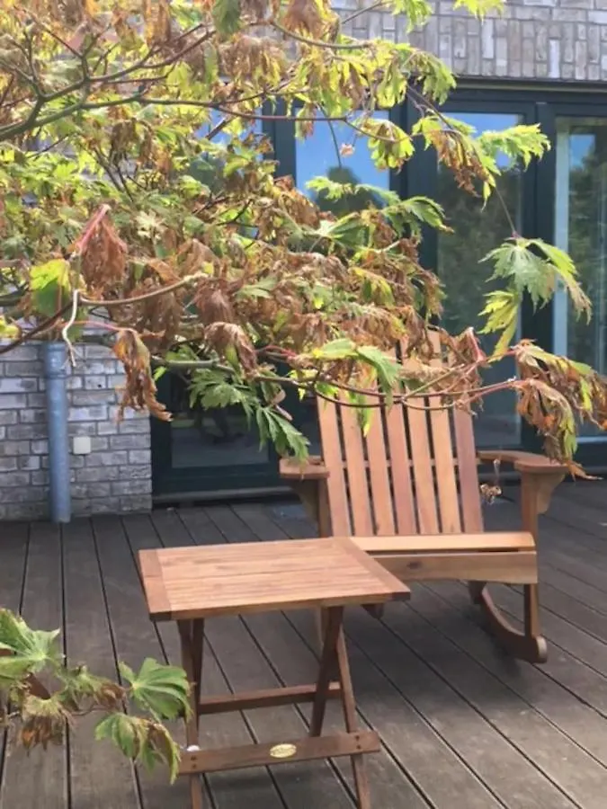 Schoenste Lage Am Rhein In Unmittelbarer Stadtnaehe, B & B Colonia Bed & Breakfast