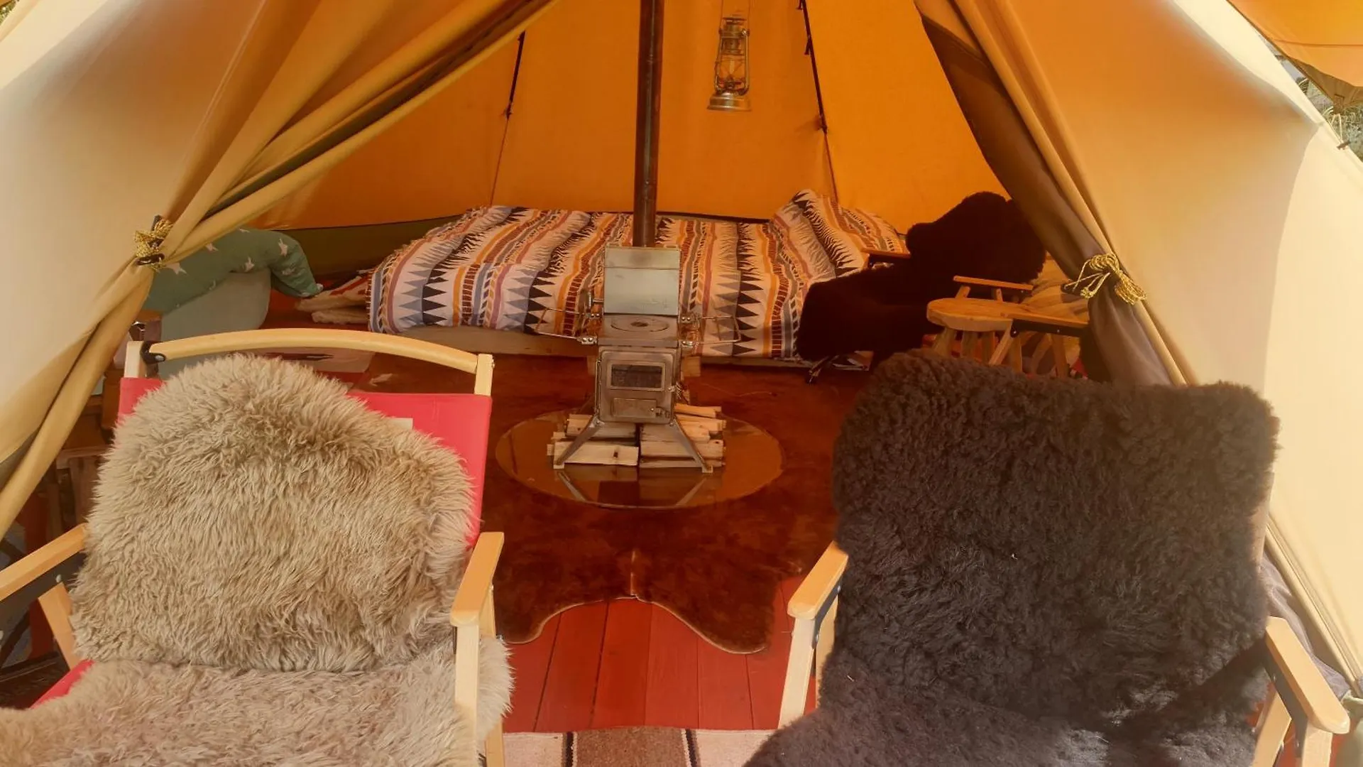 Bed & Breakfast Schoenste Lage Am Rhein In Unmittelbarer Stadtnaehe, B & B Cologne