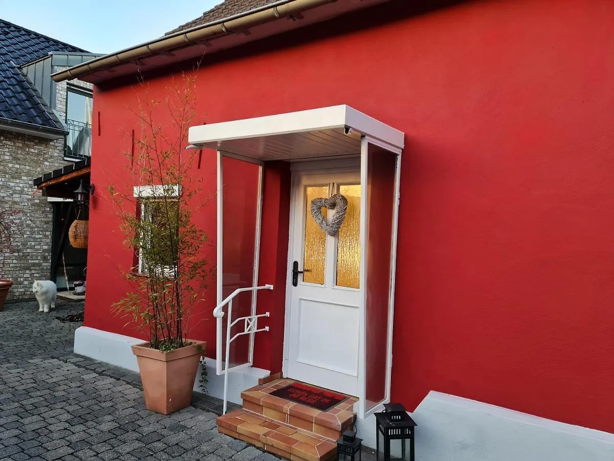 Schoenste Lage Am Rhein In Unmittelbarer Stadtnaehe, B & B Cologne