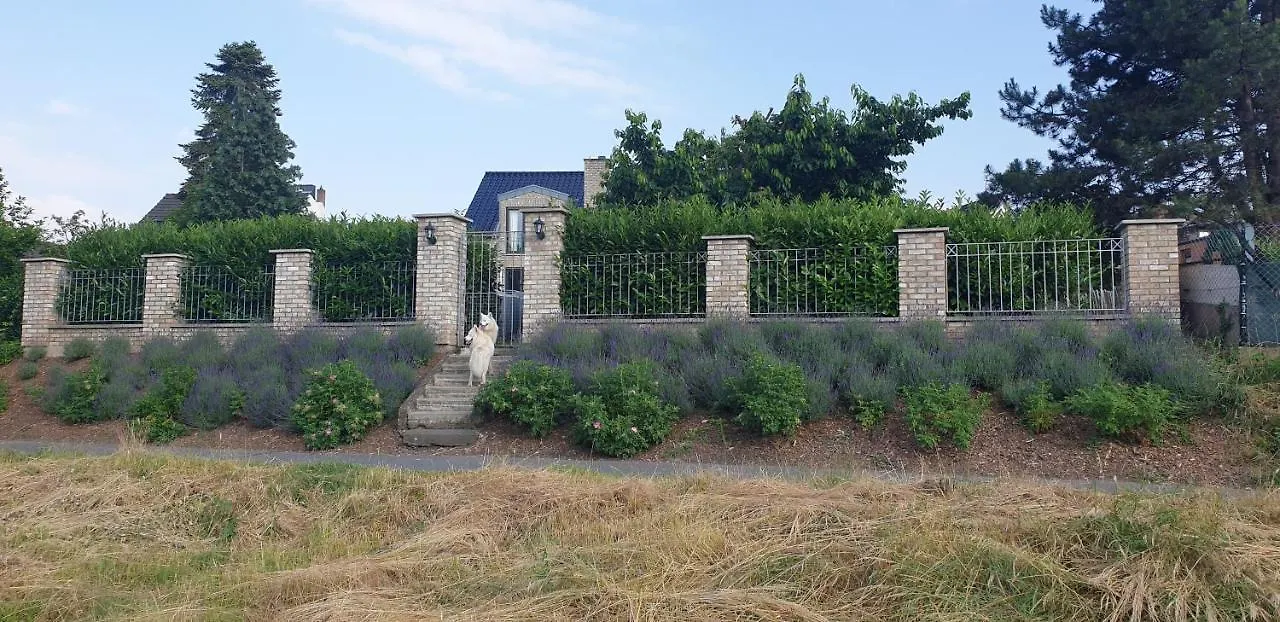 Schoenste Lage Am Rhein In Unmittelbarer Stadtnaehe, B & B Cologne